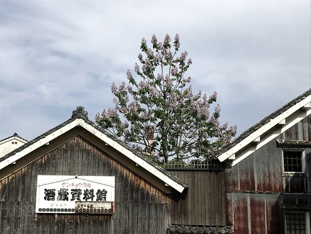 Imagen de la habitación del Hotel Suikomareso. Foto 26