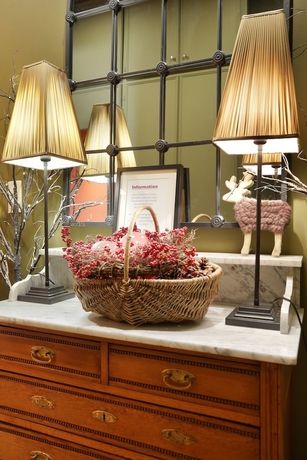 Imagen de los interiores del Hotel Suisse, Estrasburgo. Foto 19