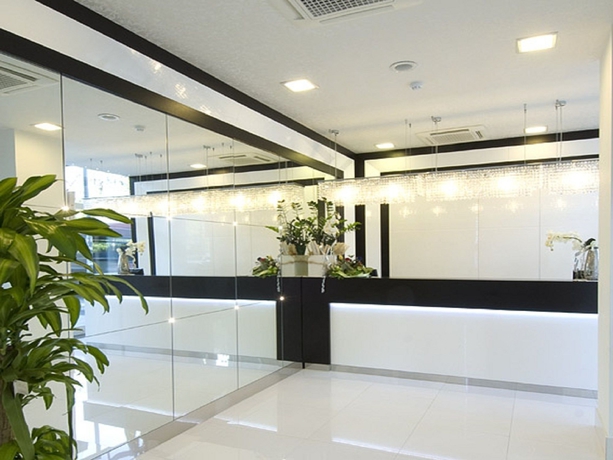 Imagen de los interiores del Hotel Suite Elite. Foto 10