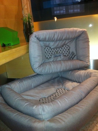 Imagen general del Hotel Suite Inn. Foto 3