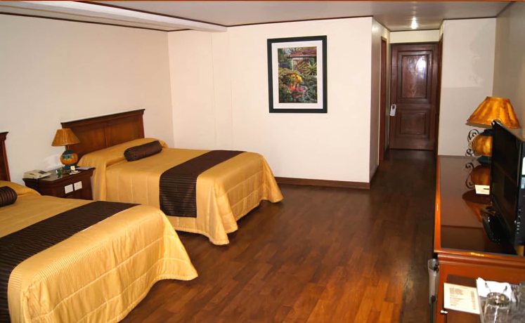 Imagen de la habitación del Hotel Suites Colibrí. Foto 6