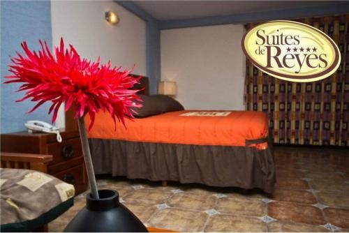 Imagen general del Hotel Suites De Reyes. Foto 3
