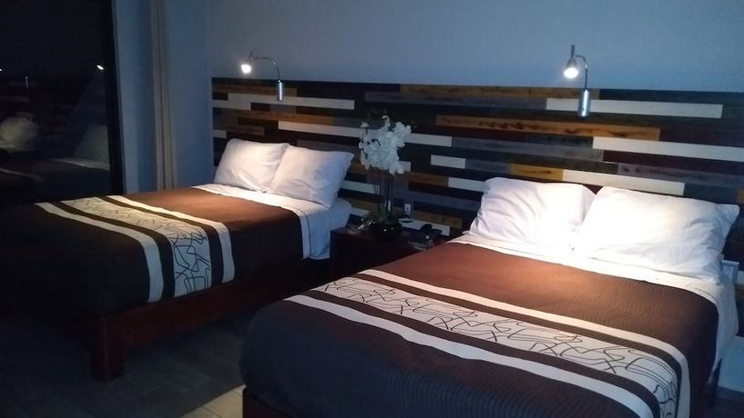 Imagen de la habitación del Hotel Suites Don Miguel. Foto 6