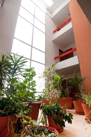 Imagen de los interiores del Hotel Suites Futura Plaza Del Sol. Foto 10