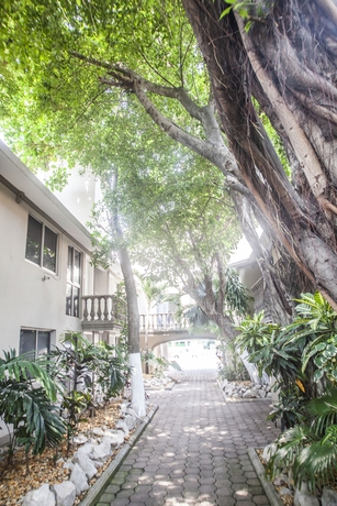 Imagen de los interiores del Hotel Suites La Fragua. Foto 19