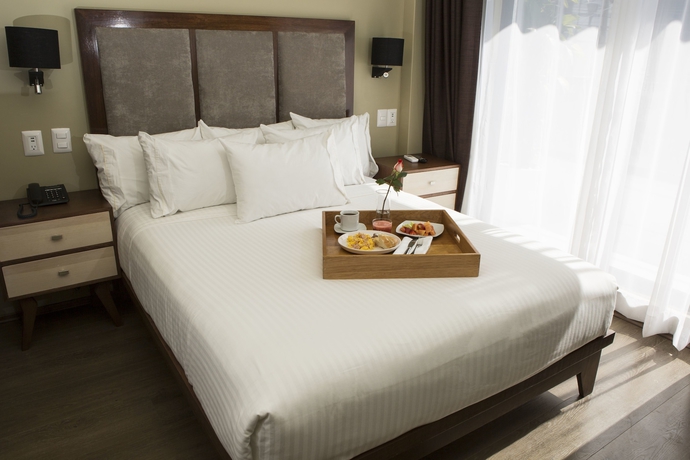 Imagen de la habitación del Hotel Suites Lerma. Foto 7