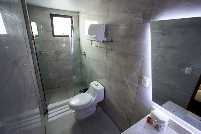 Imagen de la habitación del Hotel Suites Lerma. Foto 10