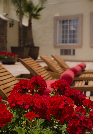 Imagen de la piscina del Hotel Suites Mexico Plaza Campestre. Foto 12
