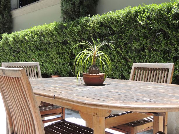 Imagen de la habitación del Hotel Suites Obelisk. Foto 10