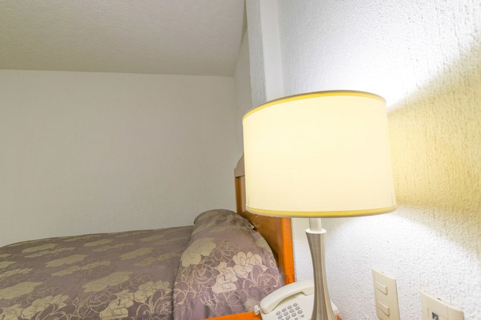 Imagen de la habitación del Hotel Suites Poliforum Inn, Le&oacute;n. Foto 5
