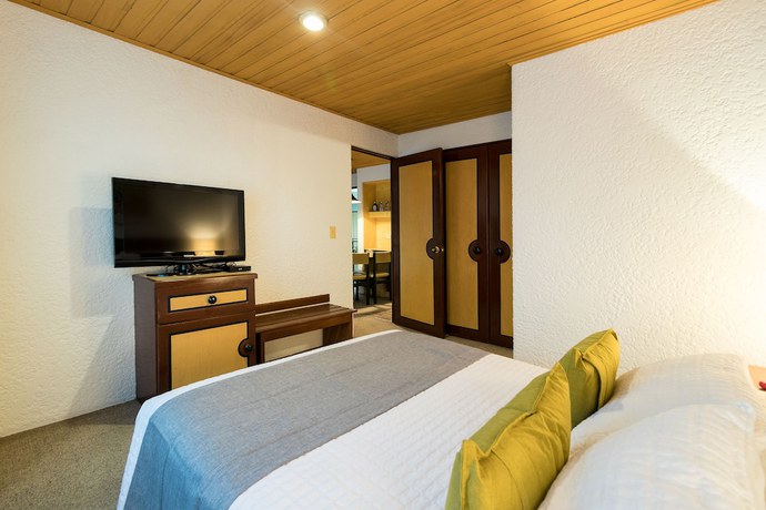 Imagen de la habitación del Hotel Suites Real 97. Foto 12