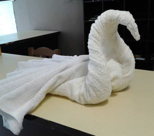 Imagen de la habitación del Hotel Suites Ripoll C&oacute;rdoba. Foto 5
