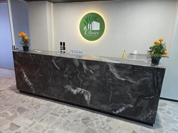 Imagen de los interiores del Hotel Suites and Lofts Olivier. Foto 9