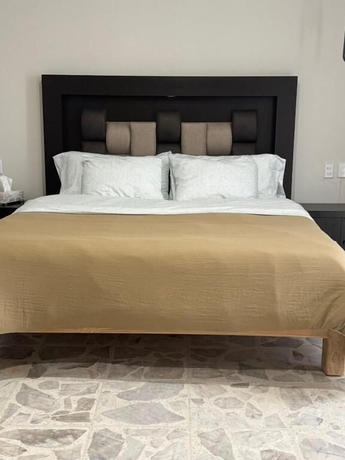 Imagen de la habitación del Hotel Suites and Lofts Olivier. Foto 5
