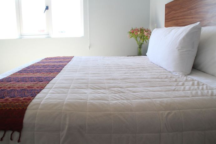 Imagen de la habitación del Hotel Suites de la Parra. Foto 13