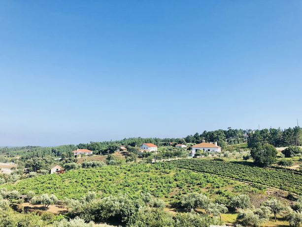 Imagen de los exteriores del Hotel Suites do Pinhal. Foto 15