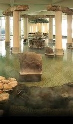 Imagen de la piscina del Hotel Suiyotei. Foto 3