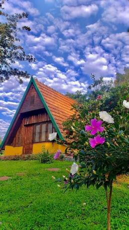 Imagen de la habitación del Hotel Suizo, Puerto Rico. Foto 15