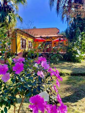 Imagen general del Hotel Suizo, Puerto Rico. Foto 11