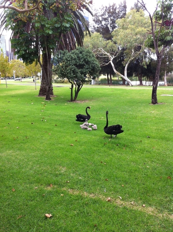 Imagen de los exteriores del Hotel Sullivans Hotel Perth. Foto 7