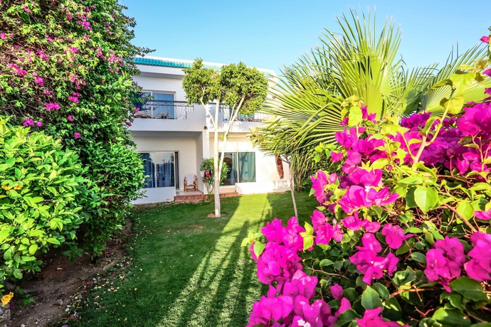 Imagen de la habitación del Hotel Sultan Gardens Resort. Foto 2