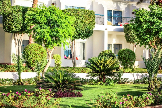 Imagen de la habitación del Hotel Sultan Gardens Resort. Foto 8