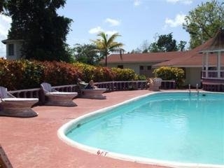 Imagen de la piscina del Hotel Sumerset Village. Foto 2