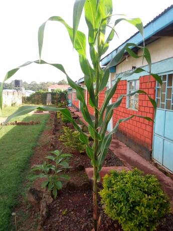 Imagen general del Hotel Summary Guest House. Foto 16