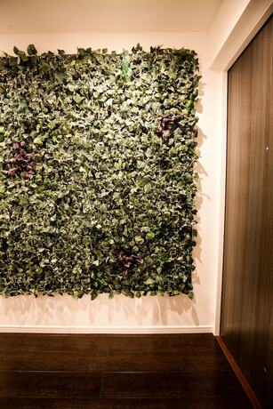 Imagen general del Hotel Summer Lotus House Osaka. Foto 18