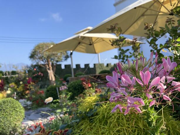 Imagen general del Hotel Summer Moonlight Vacation House. Foto 2