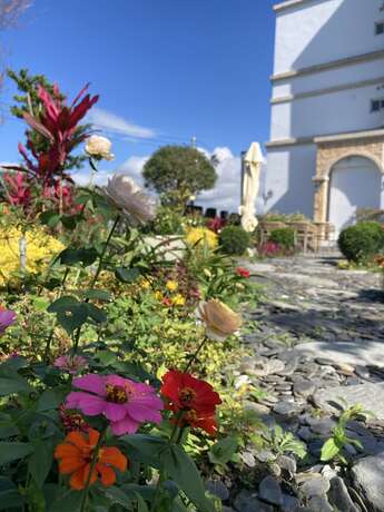 Imagen general del Hotel Summer Moonlight Vacation House. Foto 6