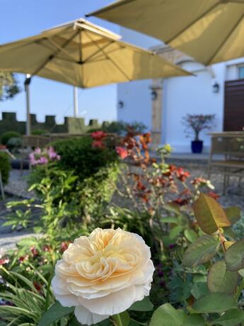 Imagen general del Hotel Summer Moonlight Vacation House. Foto 10