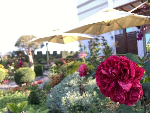 Imagen general del Hotel Summer Moonlight Vacation House. Foto 15