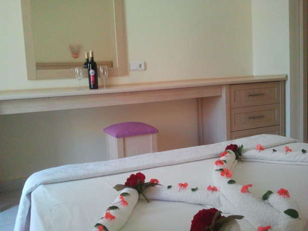 Imagen de la habitación del Hotel Summer Rose. Foto 8