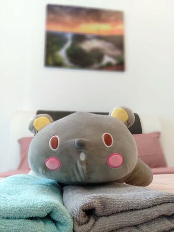 Imagen general del Hotel Summer Studio 2 - One South. Foto 4