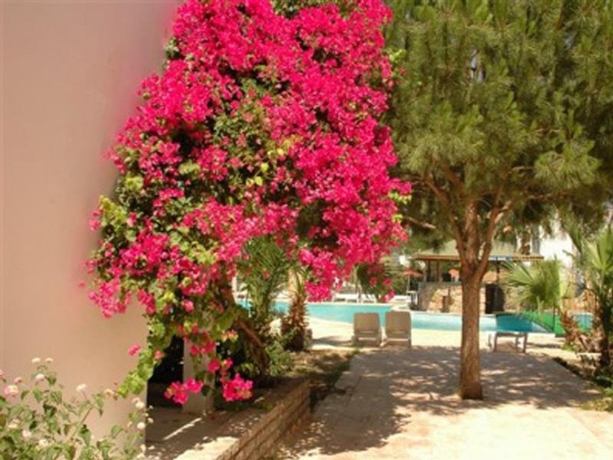Imagen general del Hotel Summer Sun Beach Hotel. Foto 8