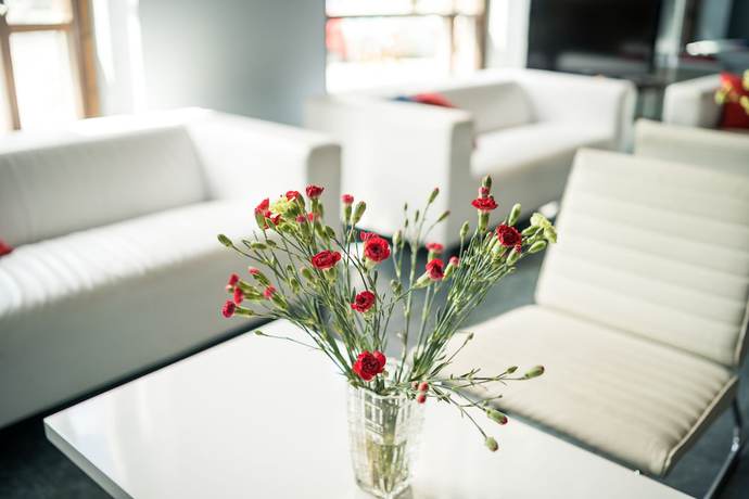 Imagen de los interiores del Hotel Summer Tott. Foto 18