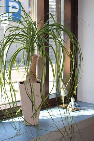 Imagen de los interiores del Hotel Summer Tott. Foto 19