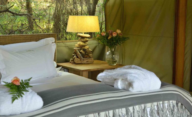 Imagen de la habitación del Hotel Summerfields Rose Retreat and Spa. Foto 5