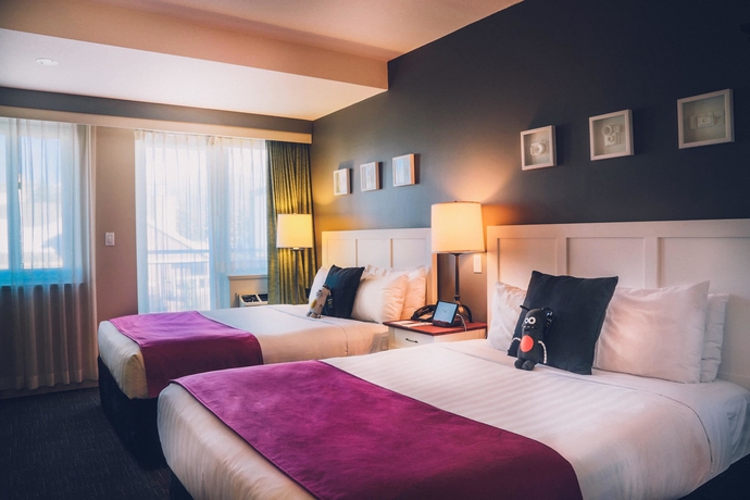 Imagen de la habitación del Hotel Summit Lodge Boutique. Foto 4