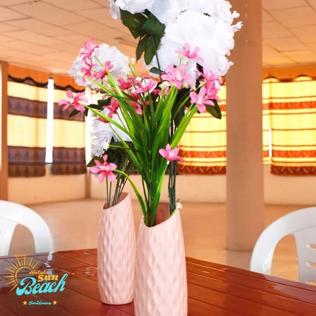 Imagen de los exteriores del Hotel Sun Beach, Ciudadela Costa de Oro. Foto 8