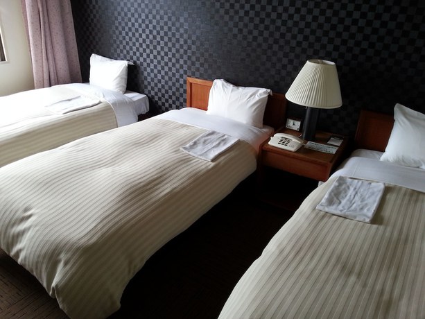 Imagen de la habitación del Hotel Sun Hitoyoshi. Foto 9