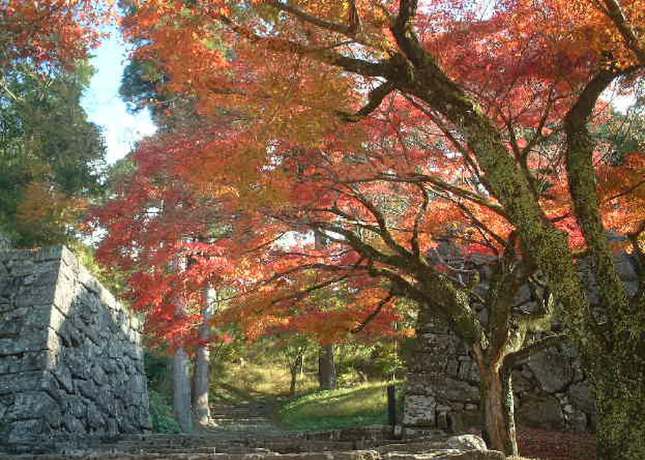 Imagen de los exteriores del Hotel Sun Hitoyoshi. Foto 15