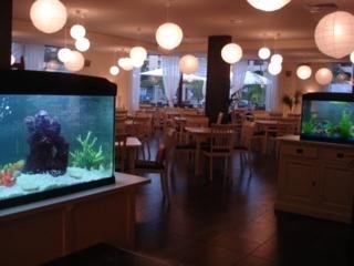 Imagen del bar/restaurante del Hotel Sun Hotel. Foto 4