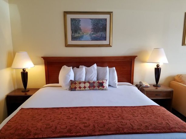 Imagen de la habitación del Hotel Sun Inn And Suites. Foto 3
