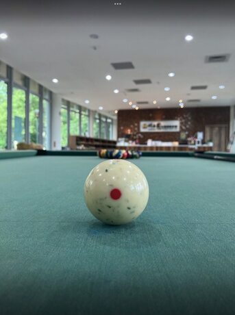 Imagen general del Hotel Sun Moon Lake Bamboo Rock Garden. Foto 8