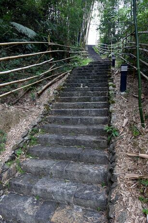 Imagen general del Hotel Sun Moon Lake Bamboo Rock Garden. Foto 14