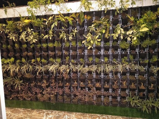 Imagen general del Hotel Sun N Star. Foto 14