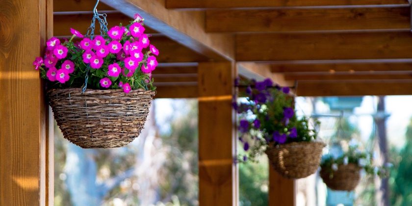 Imagen general del Hotel Sun Palace - All Inclusive. Foto 2