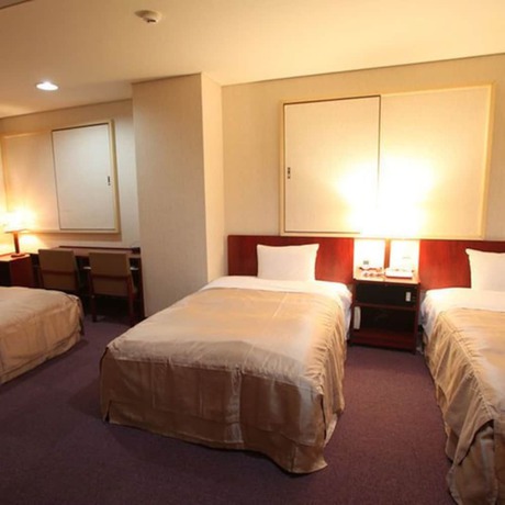 Imagen de la habitación del Hotel Sun Plaza. Foto 8